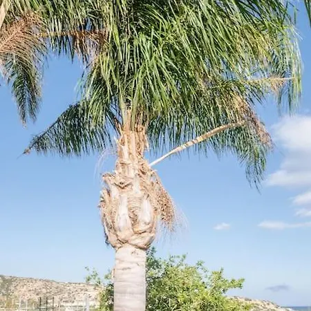 Olea Seaside Luxury In Crete Keratokambos